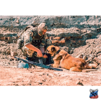 Compact MOLLE Radio Pouch 2 with Elastic Cords & Quick-Release Buckle-9