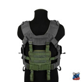 Removable MOLLE Small Back Panel for Tactical Vests