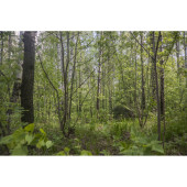 Universal Mirage Camouflage Net Universal Mirage Camouflage Net