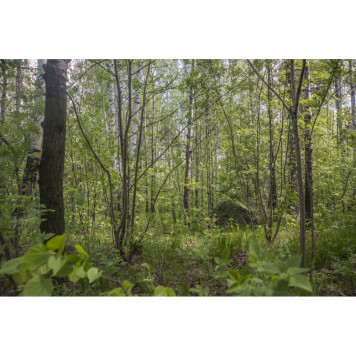 Universal Mirage Camouflage Net