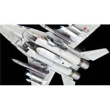 Multirole Fighter Jet Model MiG-29 SMT-2