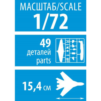 Soviet Fighter Jet MiG-17 Scale Model-1