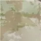 热带沙漠