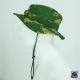 サムネイル 4