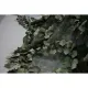 サムネイル 3