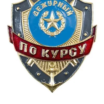 Dienstgradenbadge für den Führungslehrgang ZD-36