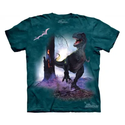 Kids& Graphic T-Shirt REX 15-1416 MOUNTAIN