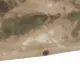サムネイル 3