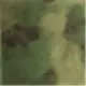 モス
