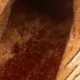 缩略图 4