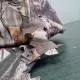 サムネイル 4