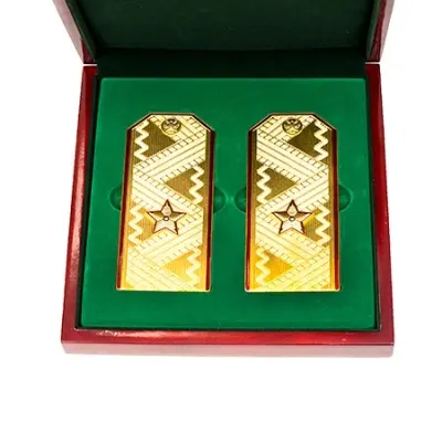 Souvenir General-Major Rank Insignia 1st Variant - Russian Ministry of Defense