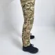 缩略图 2