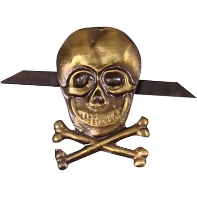 Metal Skull & Bones Chest Badge