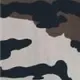 セントラルヨーロッパ