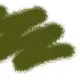 サムネイル 1