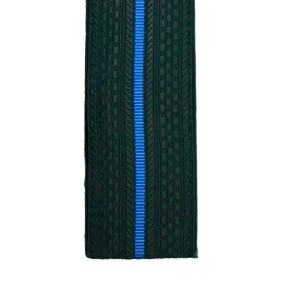 FSSP Rank Insignia with 1 Blue Stripe