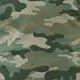 ブラウンカモ