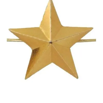 20mm Senior Officer Star Badge FM-153