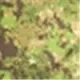Zone verte