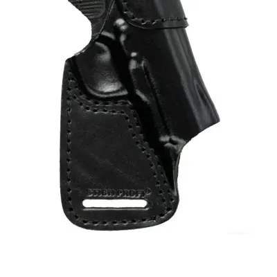 TT Holster Model