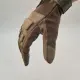 缩略图 1