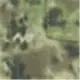 Multicam fumée