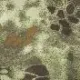 ピトンフォレスト