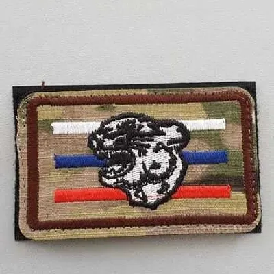Шеврон (2101) Барс