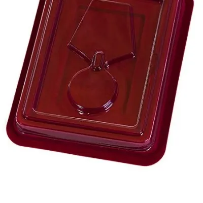 Large Medal Case