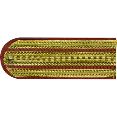 Épaulettes de parade pour officiers supérieurs avec finition Lurex