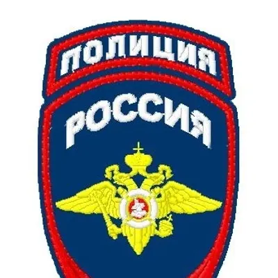 Embroidered Police Eagle Patch 04-12