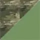 Tiger 3D/Olive